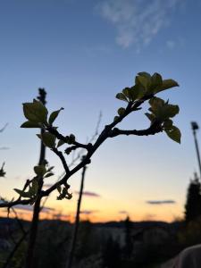 Modernes Kellerstöckl im Südburgenland