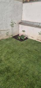 TOP Apartments Schönbrunn