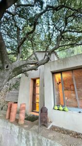 B&B / Chambres d'hotes Le cabanon du Faron une chambre d hote dans un jardin : photos des chambres