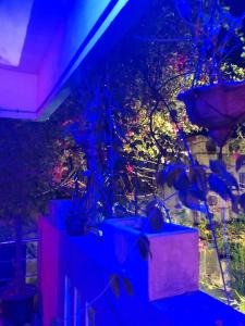 THE ONLY BEST HOMESTAY,LA MAISON RENALD 2BHK,4BHK available for 6,7,13 members NEAR ROCK BEACH WHITE TOWN RAILWAY STN PONDY MARINA CAR PARKING available Eight 3 double zero seven six four 6 double 2