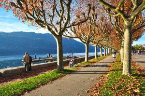 LX136 Studio cosy avec balcon & montagne - Central