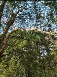 Cabaña paraíso escondido