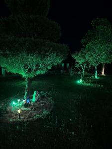 Studio Apartments Domenik