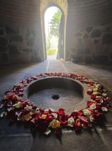 Hotel Boutique Camino Del Bosque