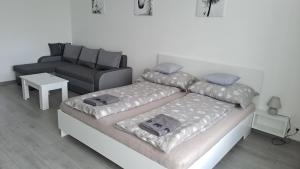 White Harmony Apartment