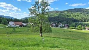 Chalets Chalet scandinave excellente situation GERARDMER XONRUPT : photos des chambres