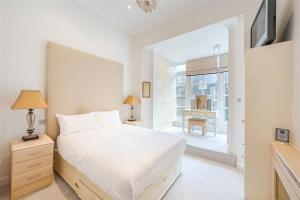 Amazing Westminster Apartment