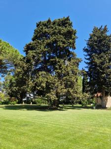 Maisons d'hotes Chateau de Bayssan : photos des chambres