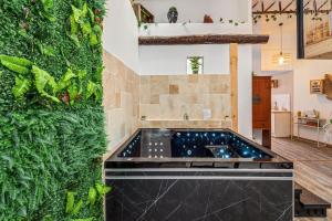 Appartements Le loft de la Casa Cota-Balneo XXL : photos des chambres