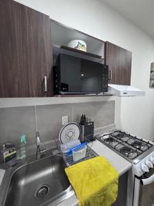 Bonito Departamento cerca de Foro de GNP