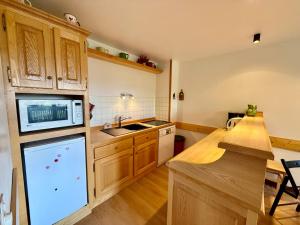 Appartements Appartement au pied des pistes, proche commodites, balcon, parking, calme - FR-1-505-8 : photos des chambres