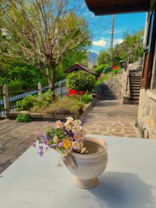 Mountain house with private garden