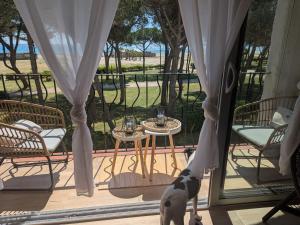 TRESOR LITTORAL, belle vue direct plage