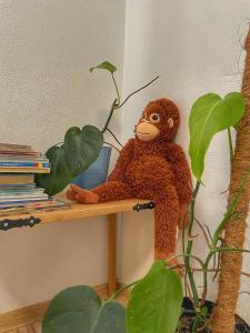 Zaži Toskánsko v Nitre - celý dom pri ferrate