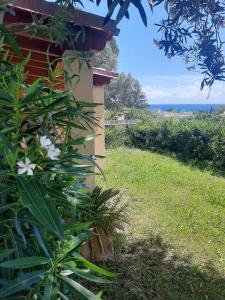Villa Tiziana img16