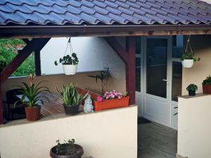 Casa Daria