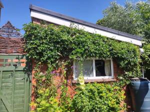 Avalon Retreat Cabin