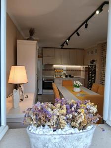 House Hill Star Kumbor