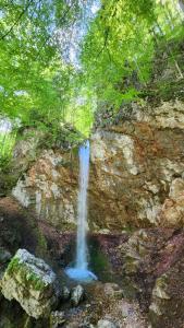 Casa de vacanta Julius