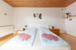 First House - Lovely Holiday Home near Cerknica 