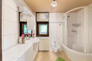 First House - Lovely Holiday Home near Cerknica 