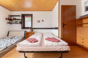 First House - Lovely Holiday Home near Cerknica