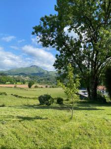 B&B / Chambres d'hotes Ameztoia XVe siecle chambres d-hotes Navarraises : photos des chambres