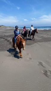Del Pangal Canto- Acceso directo a la Playa y Cabalgatas