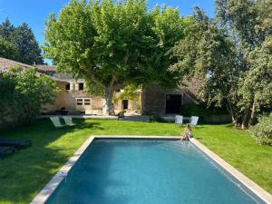 Maisons de vacances Le 270 Jungle : photos des chambres