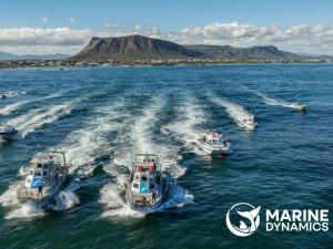 Romansbaai Beach House