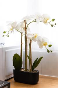 Appartements The CGT Elegance & Comfort at the Gates of Paris : photos des chambres