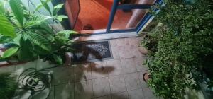 The Bloom Veranda - Elegant City Center Retreat