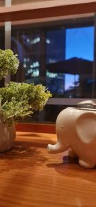 The Bloom Veranda - Elegant City Center Retreat