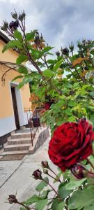 Hideaway house with garden & freeparking