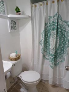 Bello Departamento de 1 dormitorio, VIÑA DEL MAR, Villa Dulce