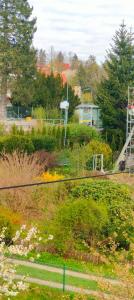 Apartament Przytulny