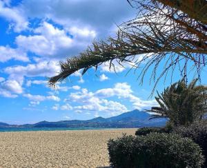 TRESOR LITTORAL, belle vue direct plage