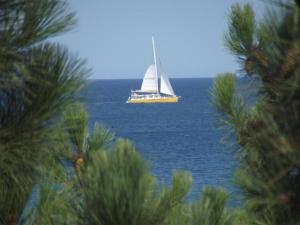 TRESOR LITTORAL, belle vue direct plage