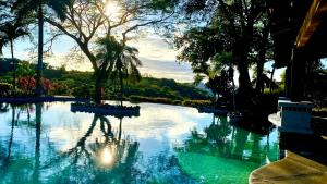 Bungle in the Jungle