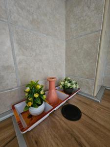 Vila Lučica apartman u prizemlju