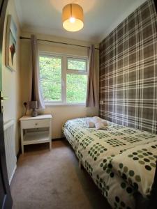 Heart of Glencoe Holidays