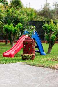 Red Roses-Traditional House