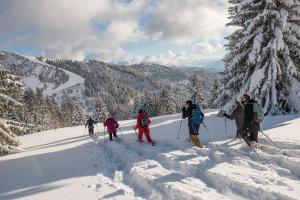 Appartements Le pied des pistes, studio 5 pers, balcon sud est, vue sur les montagnes : photos des chambres
