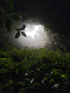 Cozy home, walking distance San Cristobal