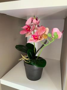 Residence La Cinta img71