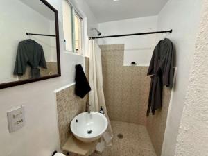 3 BR apartment and studio Condesa