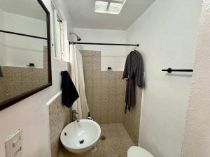 3 BR apartment and studio Condesa