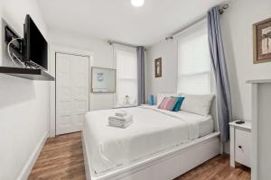 The Tree Frog - 12 Pine Forest