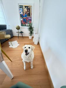 Nada Bianca - Attico di Luce