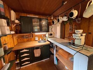 Chata u rybníka Machčák